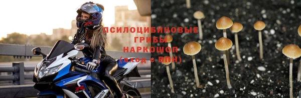 spice Новодвинск