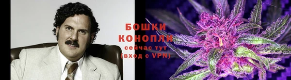 дурь Новозыбков