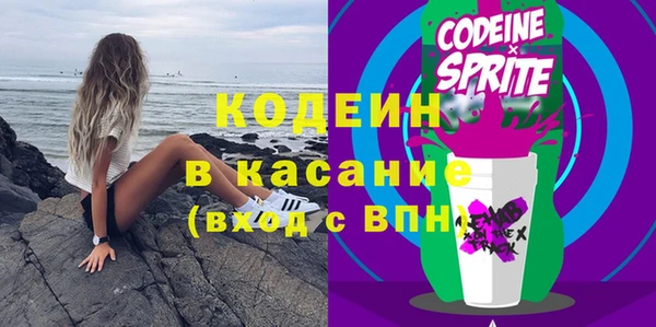 шишки Долгопрудный