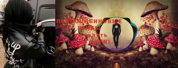 дурь Новозыбков