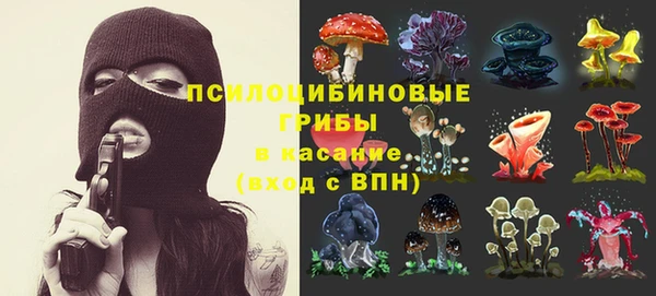 шишки Долгопрудный