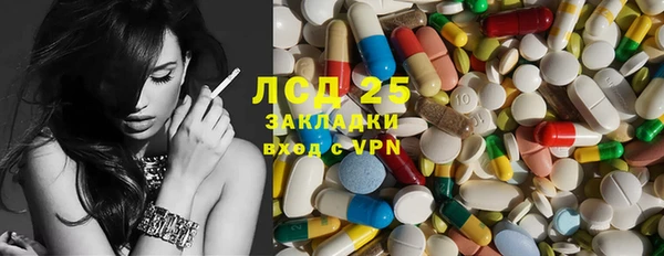 spice Новодвинск